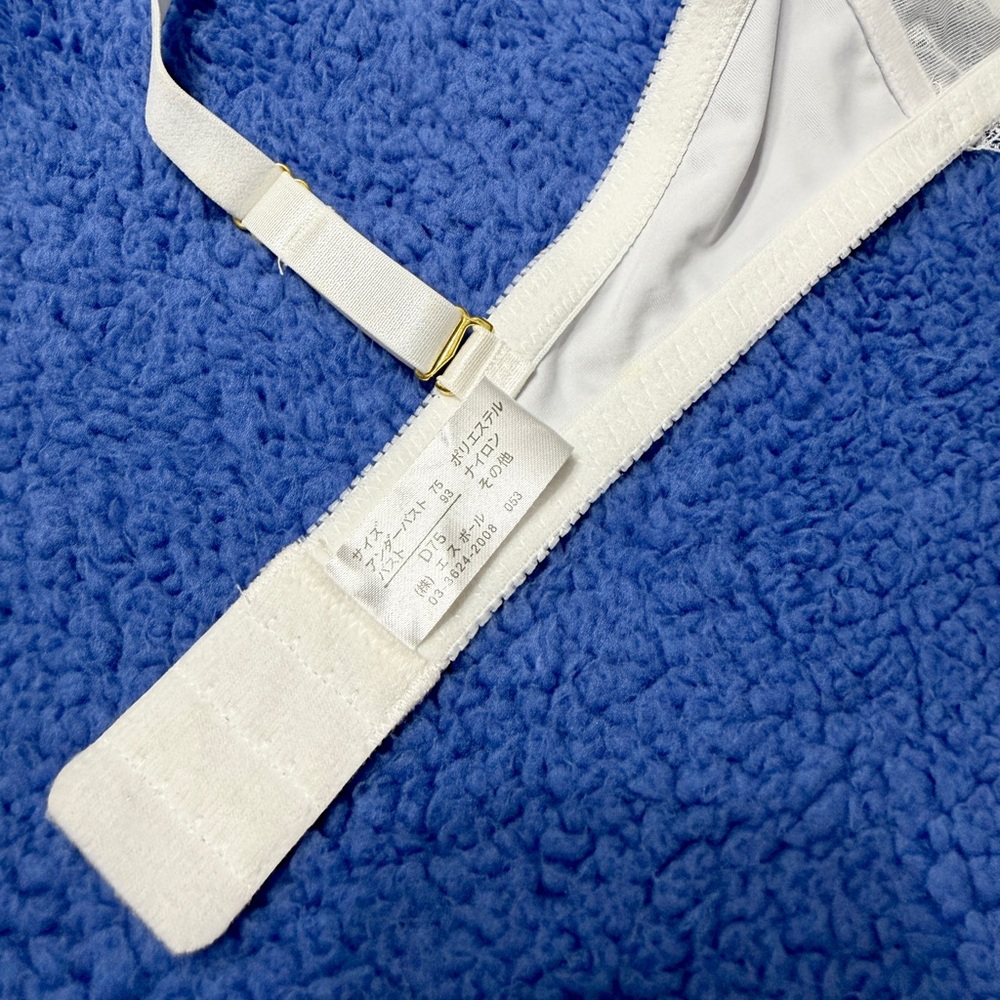 US-34B/JP-D75 Japanese Brand Floral Embroidery Push Up Bra And Panty Bikini Set - Picture 11 of 16